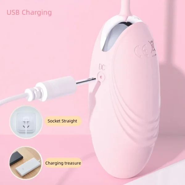 10-Speed Vibrating Egg-Jumping Vibrator Vaginal Clitoris G-Point Anal Stimulator Wireless Remote Control Waterproof Sex Toys - Image 5